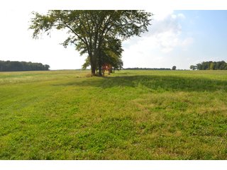 Dekalb County, Indiana Farmland - MAJOR LAND AUCTION - 516+/- ACRES OFFERED IN 18 TRACTS OR COMBINATIONS IN DEKALB COUNTY, INDIANA
